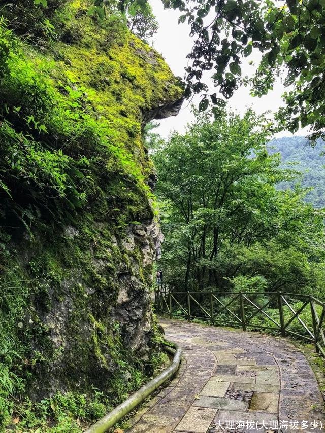 大理海拔(大理海拔多少)