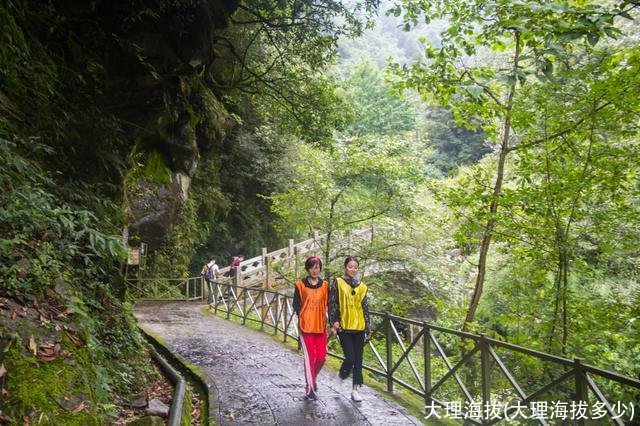 大理海拔(大理海拔多少)