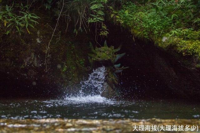 大理海拔(大理海拔多少)