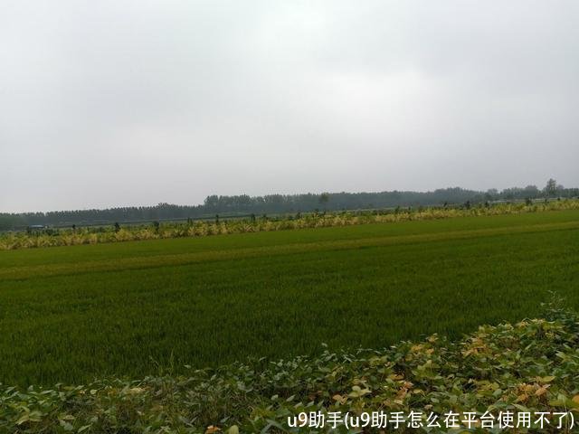 u9助手(u9助手怎么在平台使用不了)