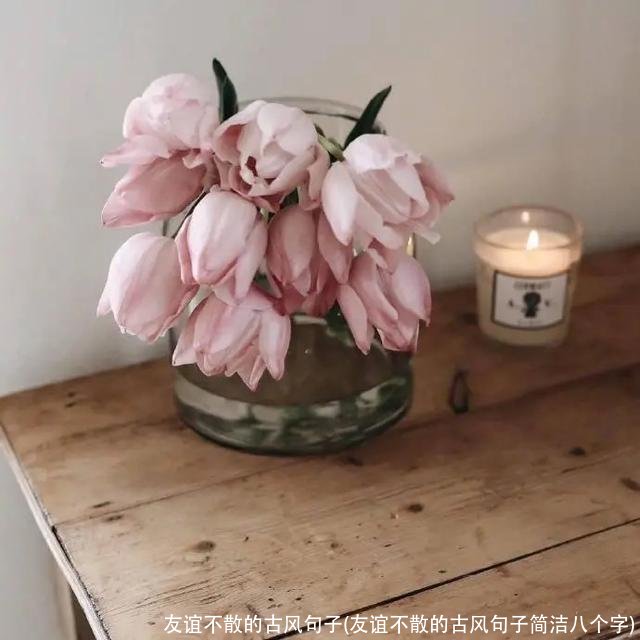 友谊不散的古风句子(友谊不散的古风句子简洁八个字)