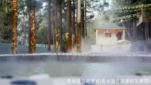 贵州温泉哪里好(贵州温泉哪里好又便宜)