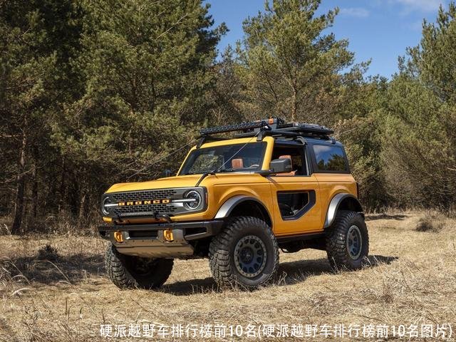 硬派越野车排行榜前10名(硬派越野车排行榜前10名图片)