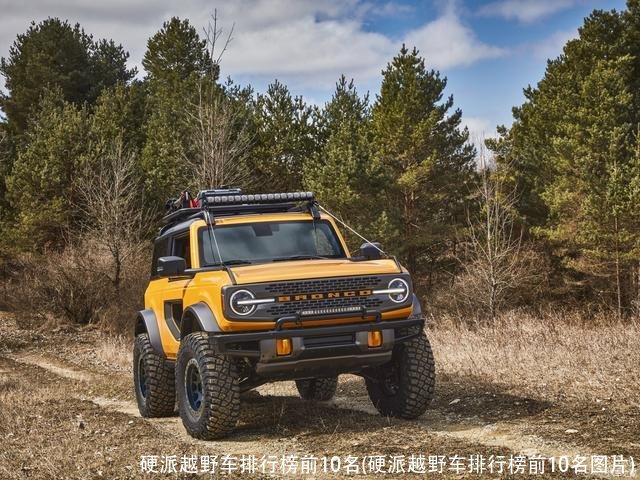 硬派越野车排行榜前10名(硬派越野车排行榜前10名图片)