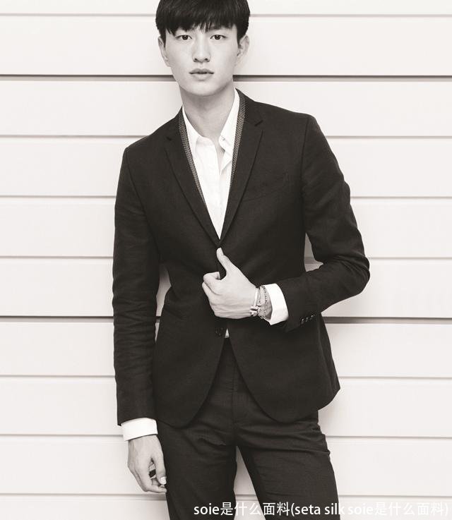 soie是什么面料(seta silk soie是什么面料)