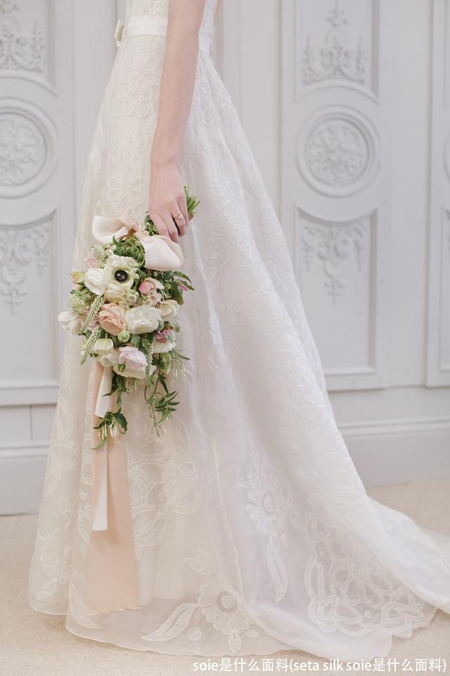 soie是什么面料(seta silk soie是什么面料)