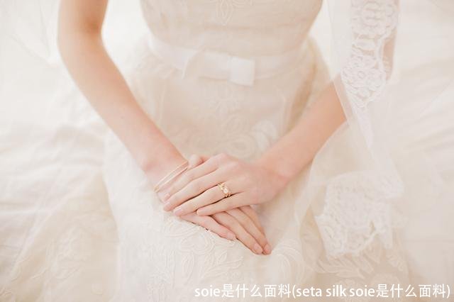soie是什么面料(seta silk soie是什么面料)