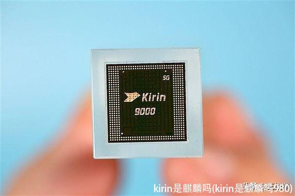 kirin是麒麟吗(kirin是麒麟吗980)