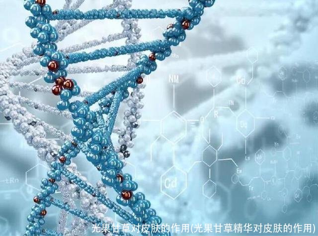 光果甘草对皮肤的作用(光果甘草精华对皮肤的作用)