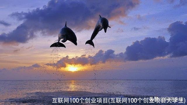 互联网100个创业项目(互联网100个创业项目大学生)