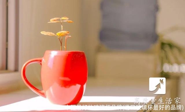 中国最好的玻璃杯品牌(进口玻璃杯最好的品牌)