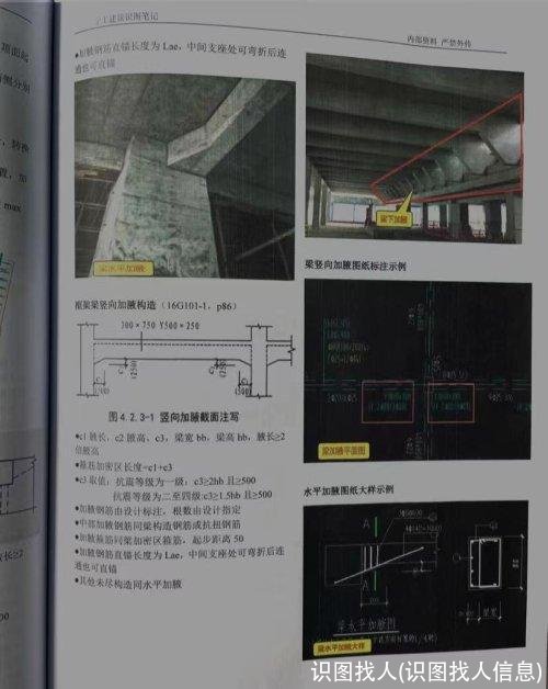 识图找人(识图找人信息)