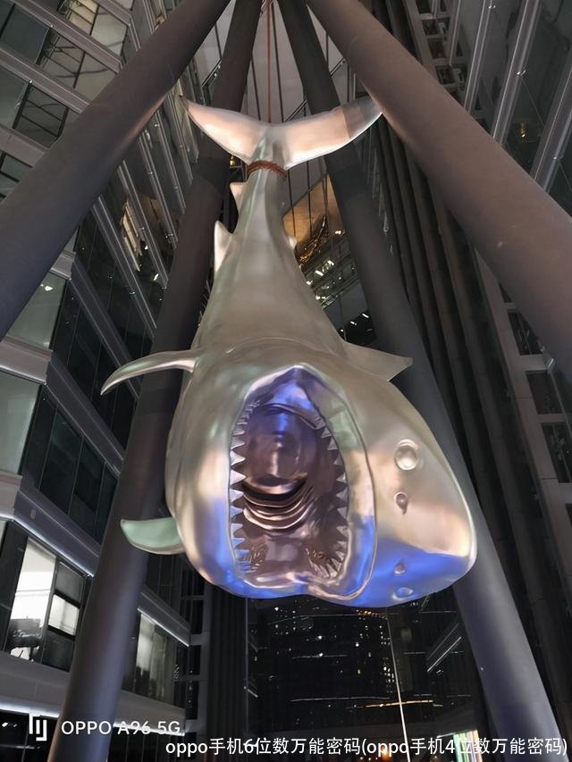 oppo手机6位数万能密码(oppo手机4位数万能密码)