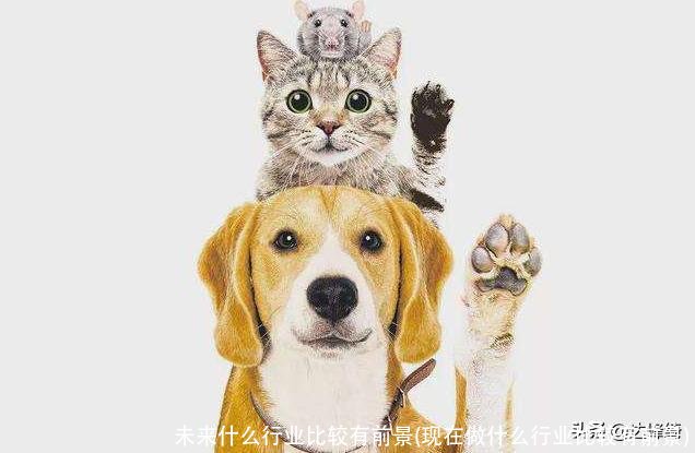 未来什么行业比较有前景(现在做什么行业比较有前景)