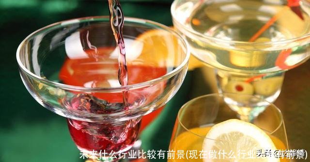 未来什么行业比较有前景(现在做什么行业比较有前景)