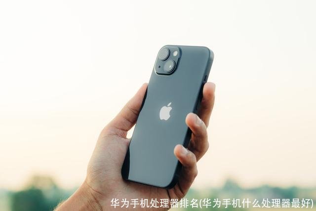 华为手机处理器排名(华为手机什么处理器最好)