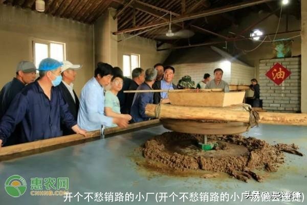 开个不愁销路的小厂(开个不愁销路的小厂汤懒云速捷)