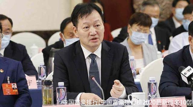 中国富豪排行(中国富豪排行榜2020最新排名100)