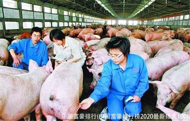 中国富豪排行(中国富豪排行榜2020最新排名100)