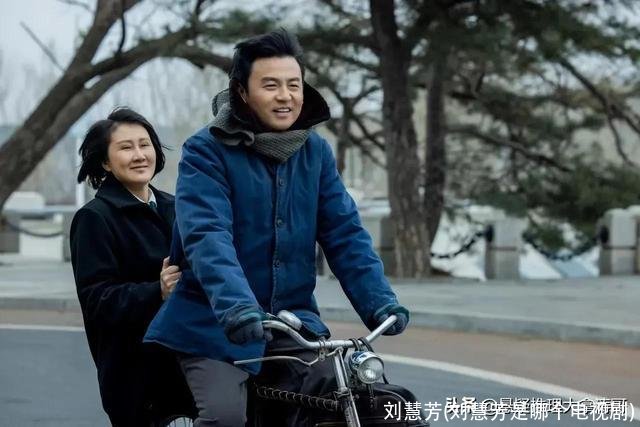 刘慧芳(刘慧芳是哪个电视剧)