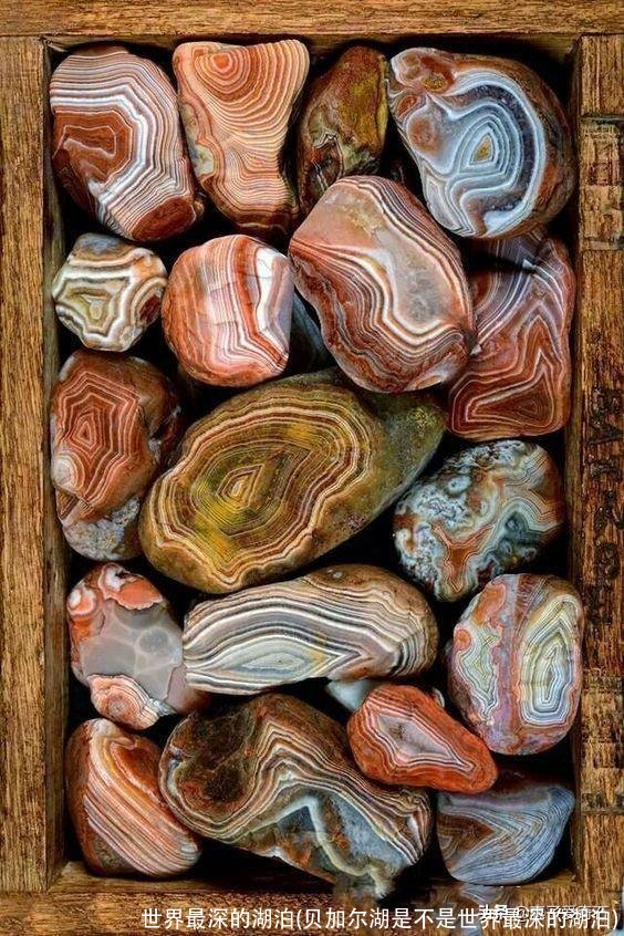 世界最深的湖泊(贝加尔湖是不是世界最深的湖泊)