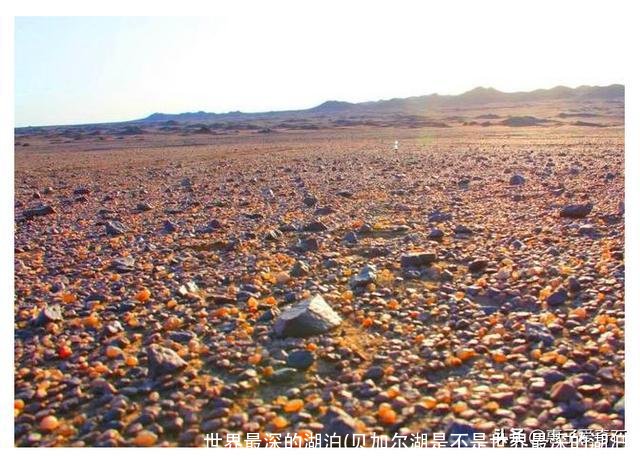 世界最深的湖泊(贝加尔湖是不是世界最深的湖泊)