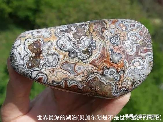 世界最深的湖泊(贝加尔湖是不是世界最深的湖泊)