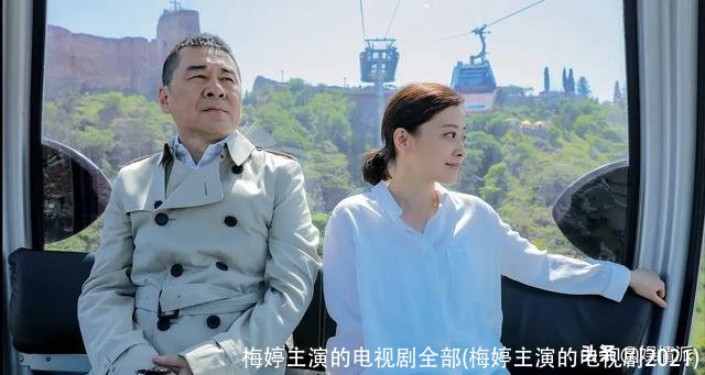 梅婷主演的电视剧全部(梅婷主演的电视剧2021)