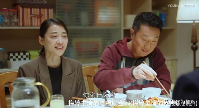 梅婷主演的电视剧全部(梅婷主演的电视剧2021)
