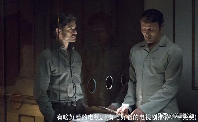 有啥好看的电视剧(有啥好看的电视剧推荐一下免费)