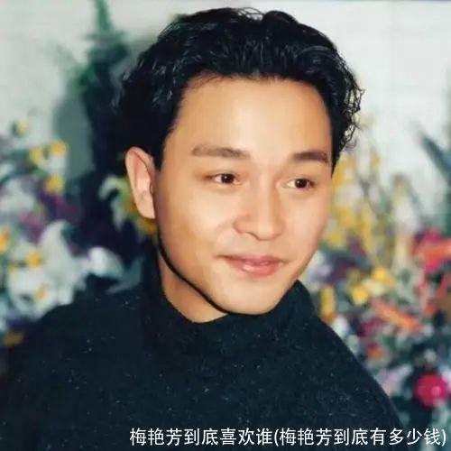 梅艳芳到底喜欢谁(梅艳芳到底有多少钱)