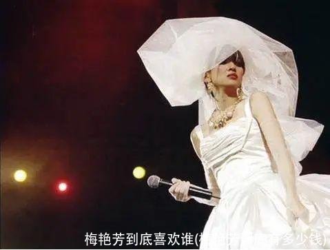 梅艳芳到底喜欢谁(梅艳芳到底有多少钱)