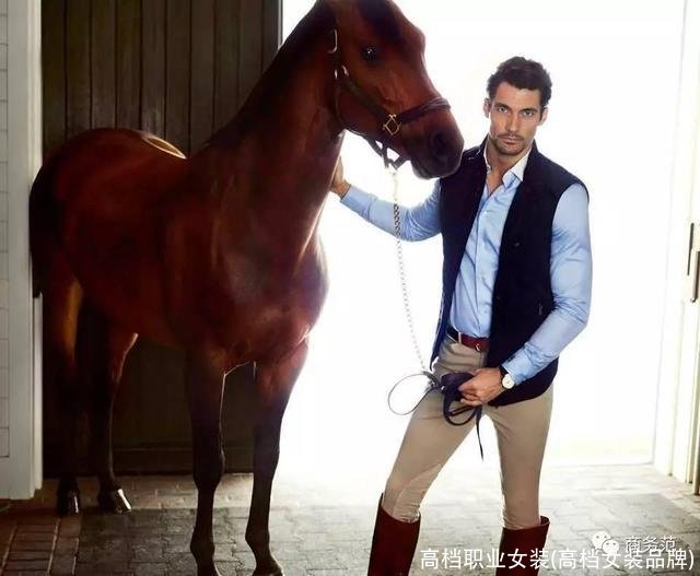 高档职业女装(高档女装品牌)