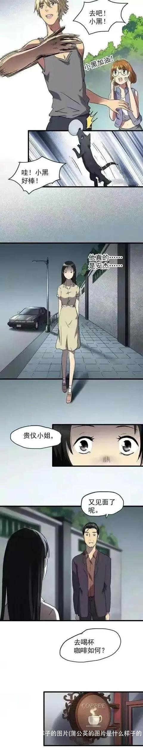 蒲公英是什么样子的图片(蒲公英的图片是什么样子的)