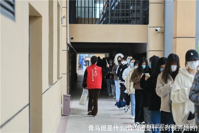 青马班是什么(青马班是什么时候开始的)