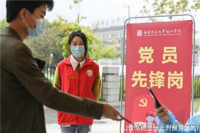 青马班是什么(青马班是什么时候开始的)