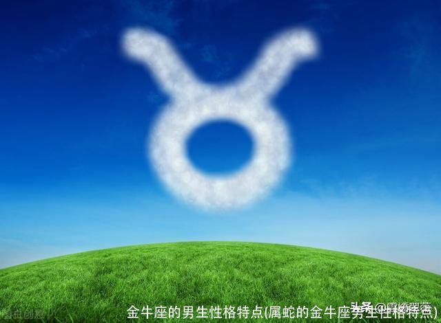 金牛座的男生性格特点(属蛇的金牛座男生性格特点)