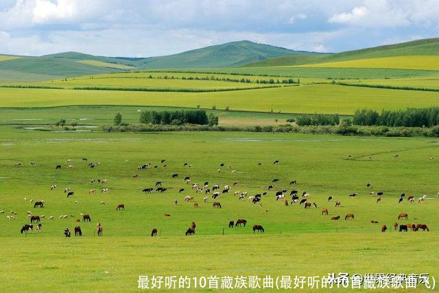 最好听的10首藏族歌曲(最好听的10首藏族歌曲飞)