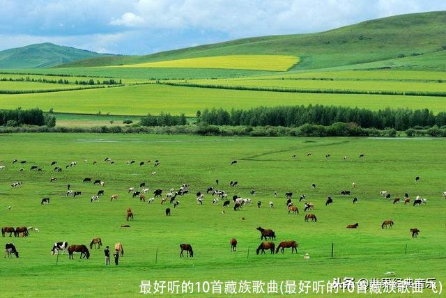 最好听的10首藏族歌曲(最好听的10首藏族歌曲飞)