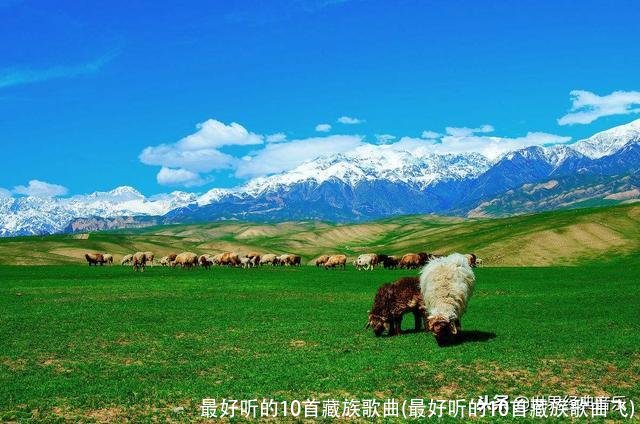 最好听的10首藏族歌曲(最好听的10首藏族歌曲飞)
