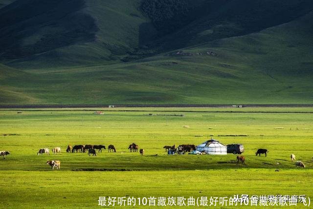 最好听的10首藏族歌曲(最好听的10首藏族歌曲飞)