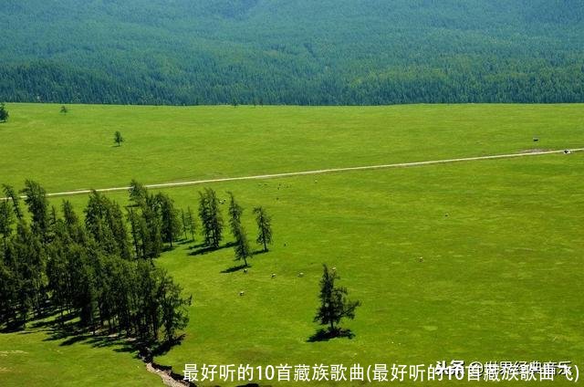 最好听的10首藏族歌曲(最好听的10首藏族歌曲飞)