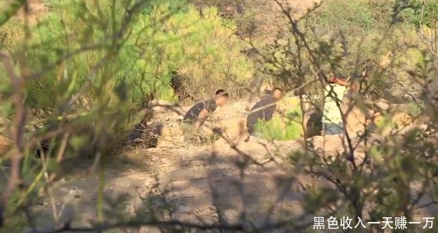 黑色收入一天赚一万