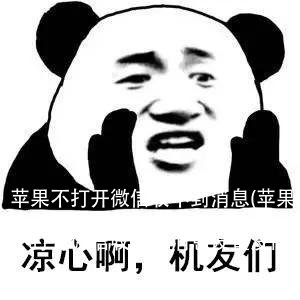 苹果不打开微信收不到消息(苹果不打开微信收不到消息设置没问题)