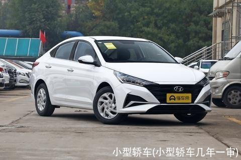 小型轿车(小型轿车几年一审)