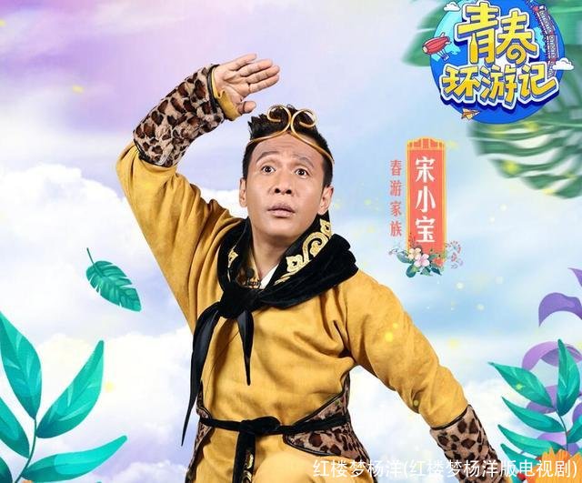 红楼梦杨洋(红楼梦杨洋版电视剧)