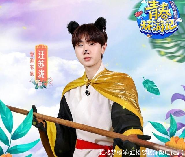 红楼梦杨洋(红楼梦杨洋版电视剧)