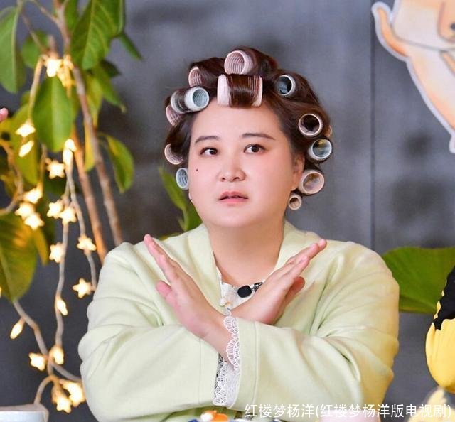 红楼梦杨洋(红楼梦杨洋版电视剧)