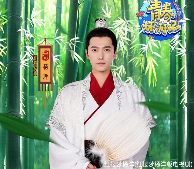 红楼梦杨洋(红楼梦杨洋版电视剧)