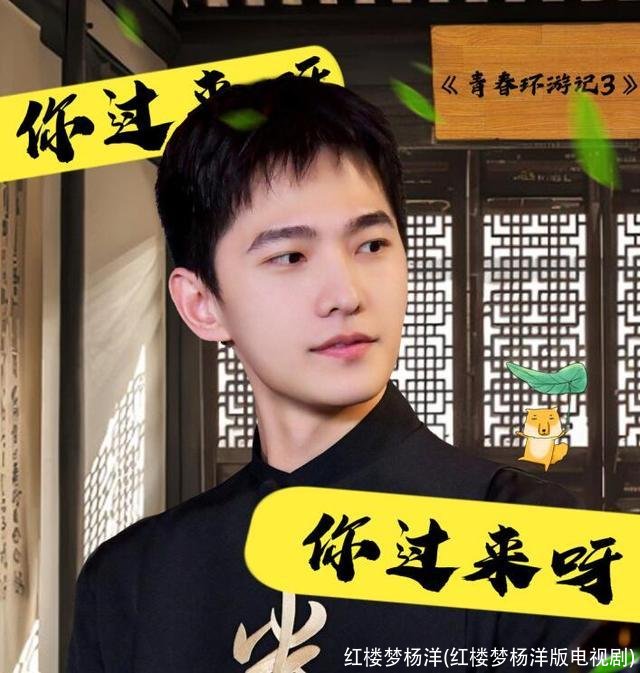 红楼梦杨洋(红楼梦杨洋版电视剧)